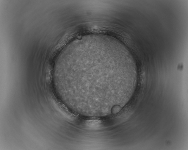 X0000115310266200911161729