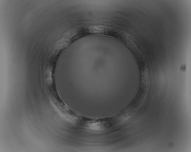 X0000115310267200911161729