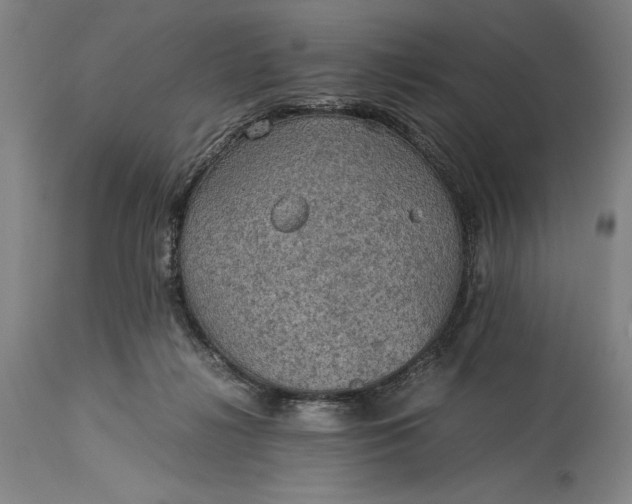 X0000115310268200911161729