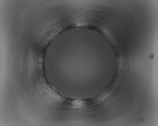 X0000115310269200911161729