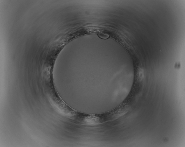 X0000115310271200911161729