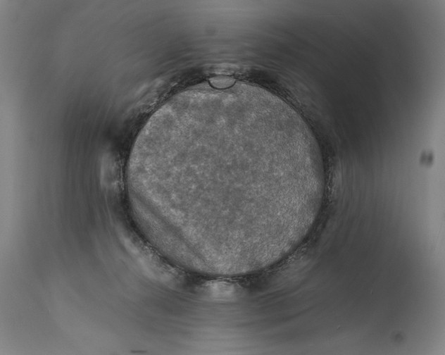 X0000115310272200911161729