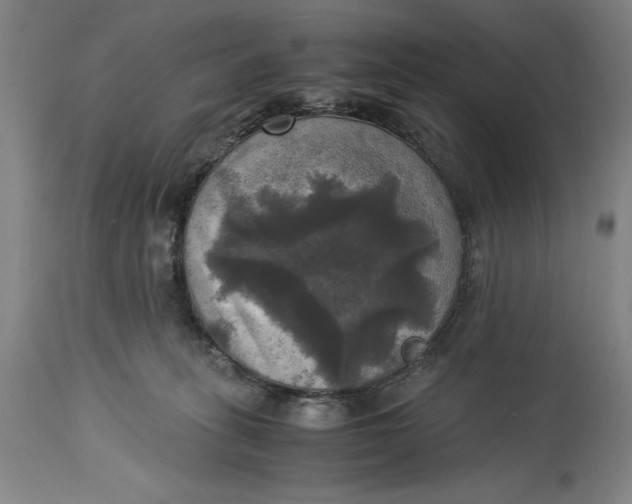 X0000115310275200911161729