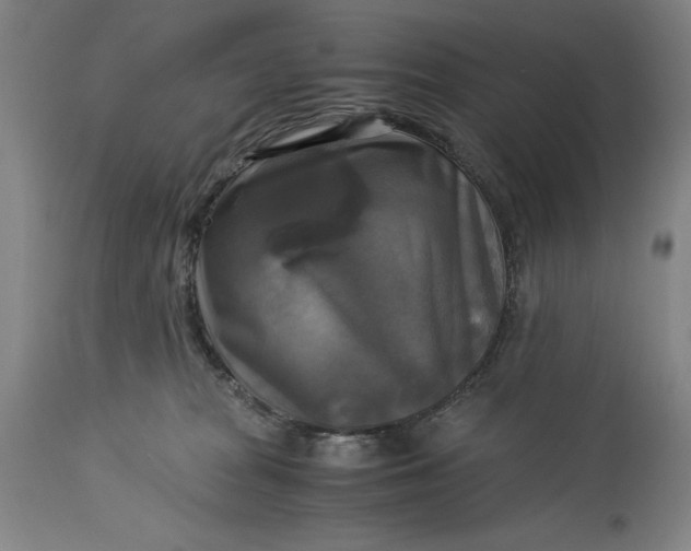 X0000115310277200911161729