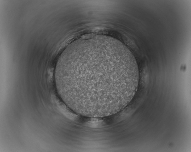 X0000115310278200911161729