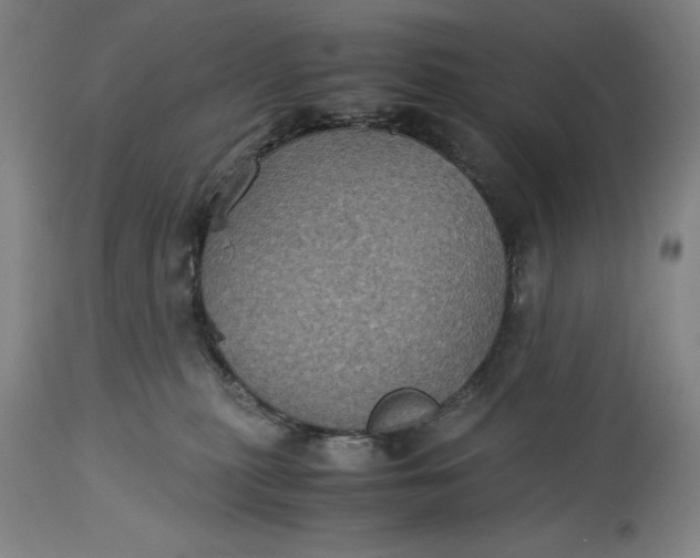 X0000115310279200911161729