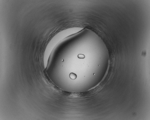 X0000115310280200911161729