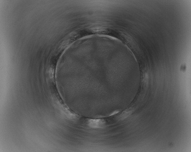 X0000115310281200911161729