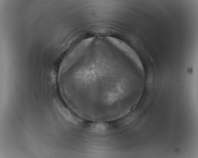 X0000115310282200911161729