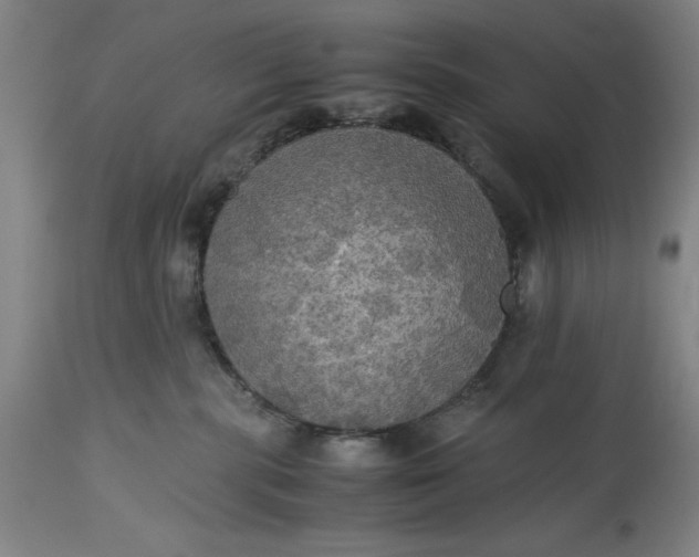 X0000115310283200911161729