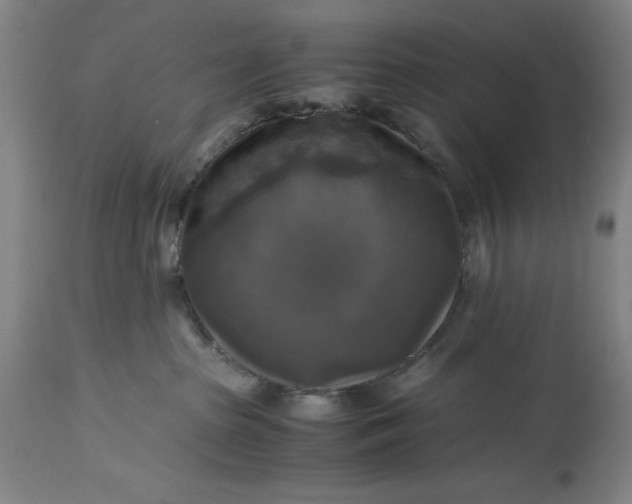 X0000115310285200911161729