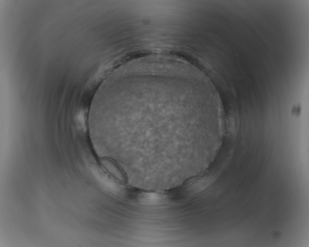 X0000115310286200911161729