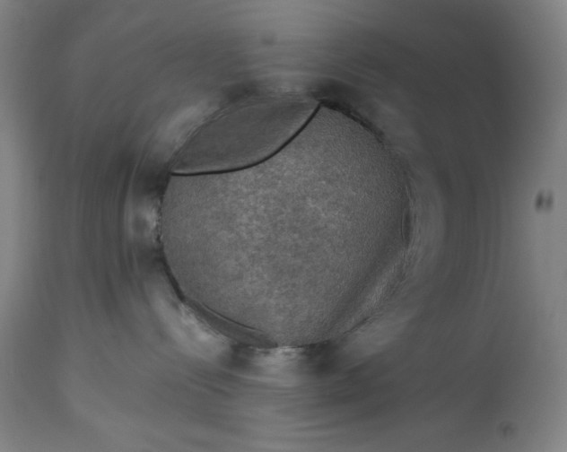 X0000115310288200911161729