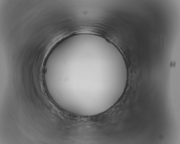 X0000115310289200911161728