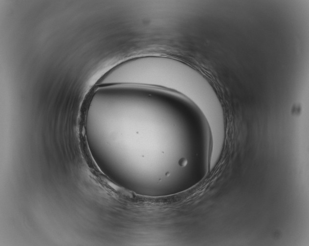 X0000115310292200911161728