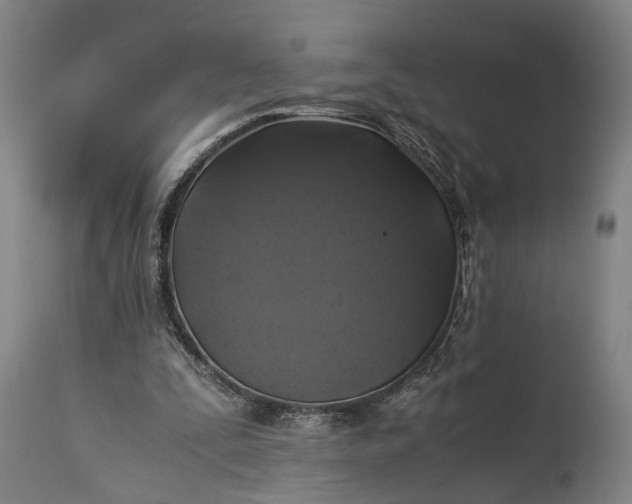 X0000115310295200911161728