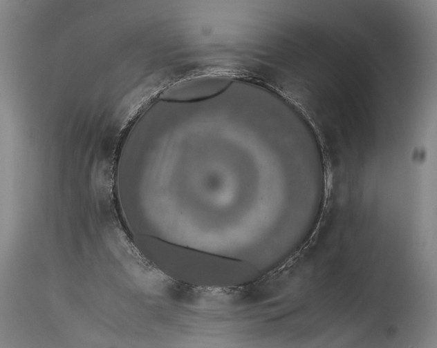 X0000115310297200911161728