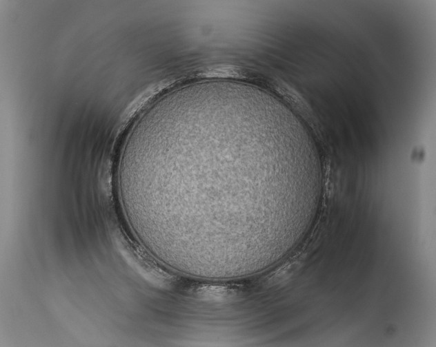 X0000115310298200911161728