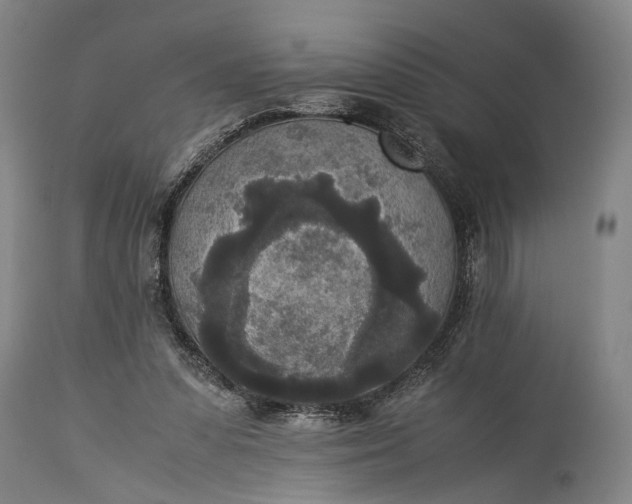 X0000115310303200911161728