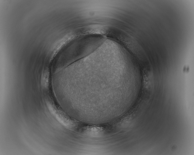 X0000115310304200911161728