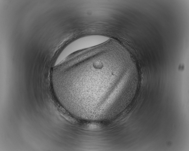 X0000115310308200911161728