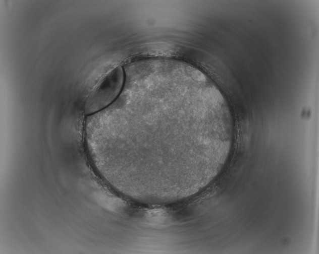 X0000115310309200911161728