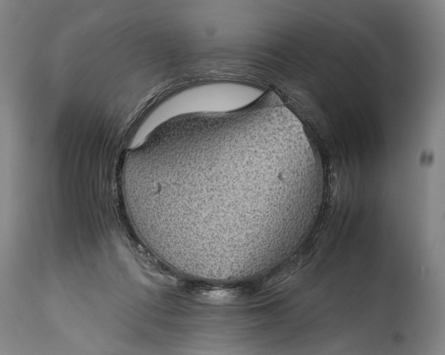 X0000115310312200911161728