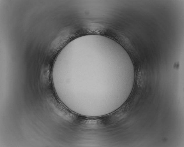 X0000115310314200911161728