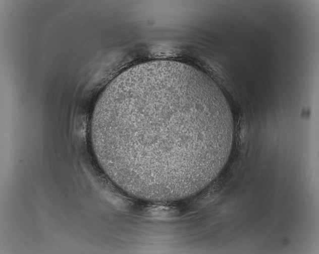 X0000115310315200911161727