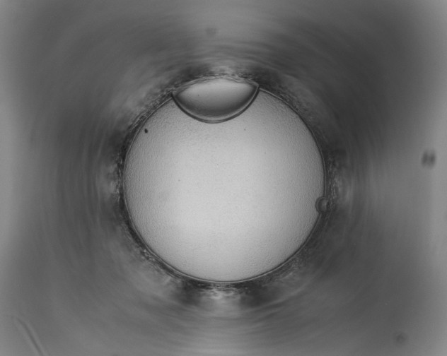 X0000115310317200911161727