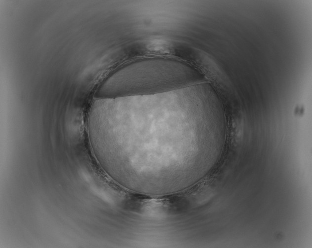 X0000115310320200911161727