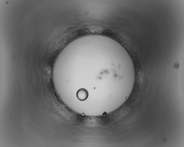 X0000115310321200911161727