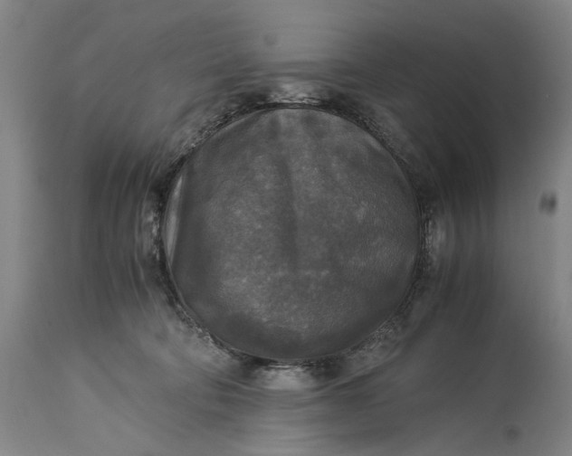 X0000115310322200911161727