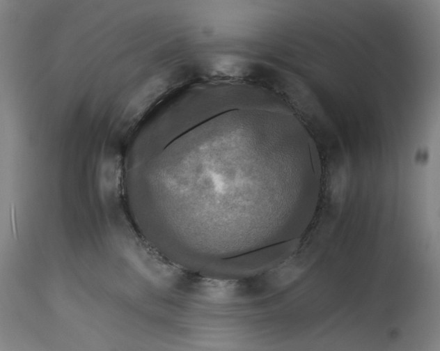 X0000115310328200911161727