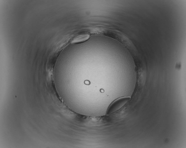 X0000115310329200911161727