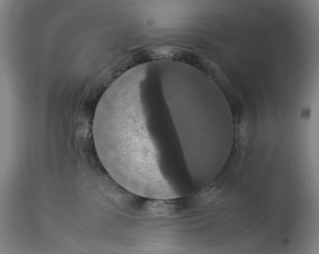 X0000115310331200911161727