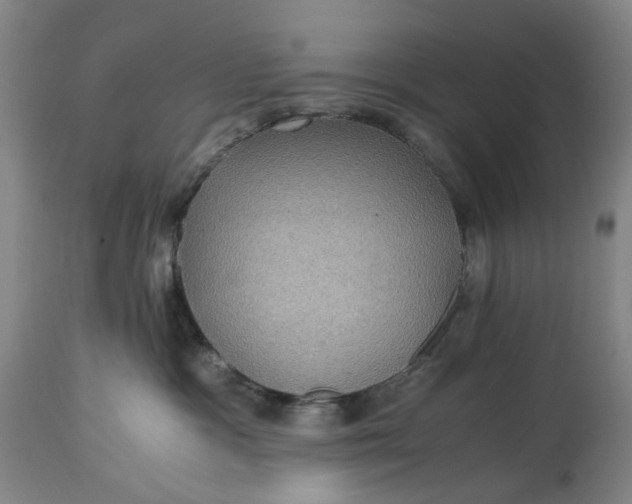 X0000115310333200911161727