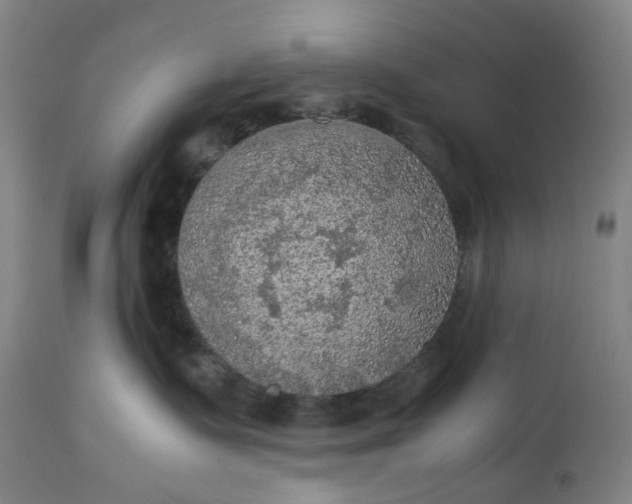 X0000115310335200911161727