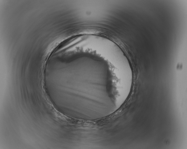 X0000115310337200911161726