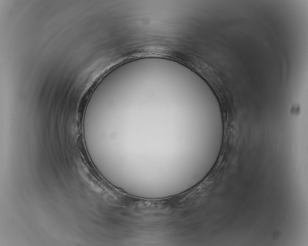 X0000115310338200911161726