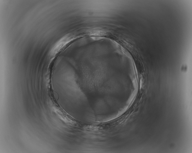 X0000115310339200911161726