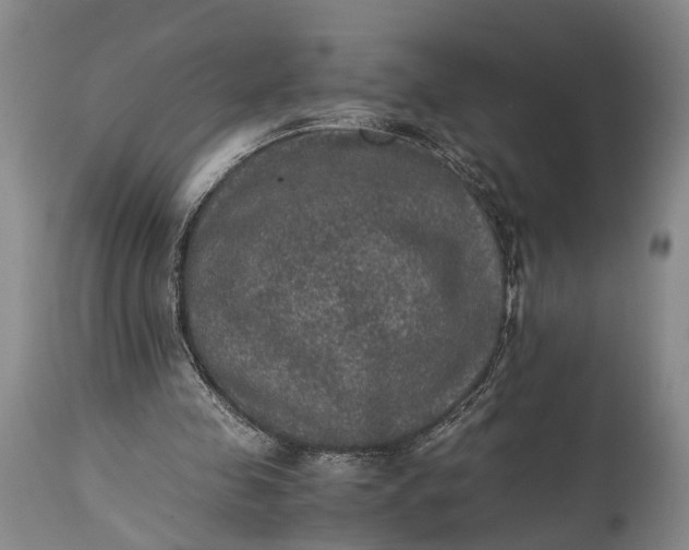 X0000115310341200911161726