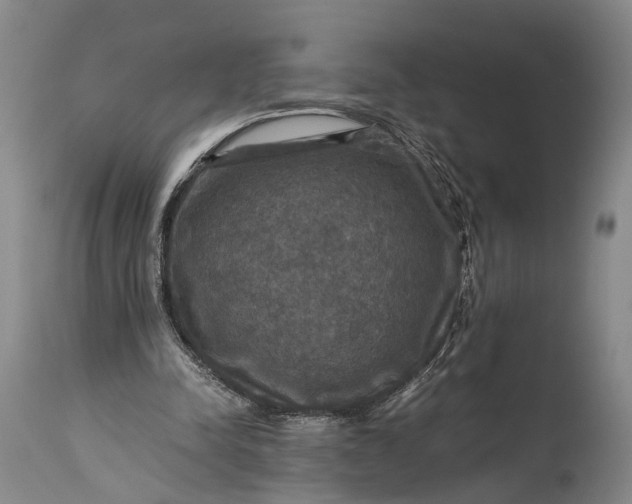 X0000115310342200911161726