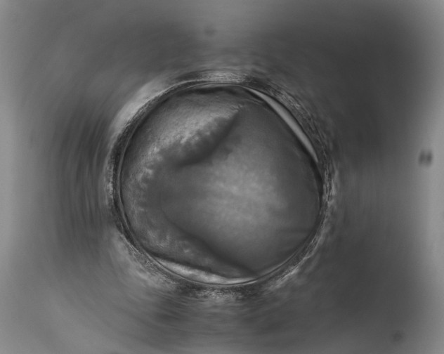 X0000115310343200911161726