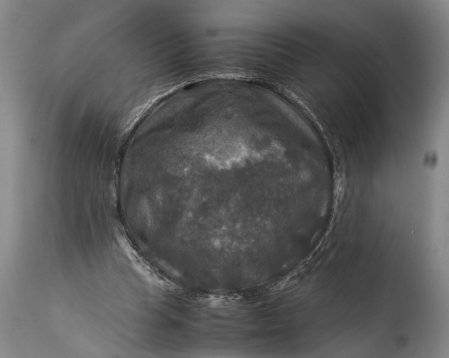 X0000115310345200911161726