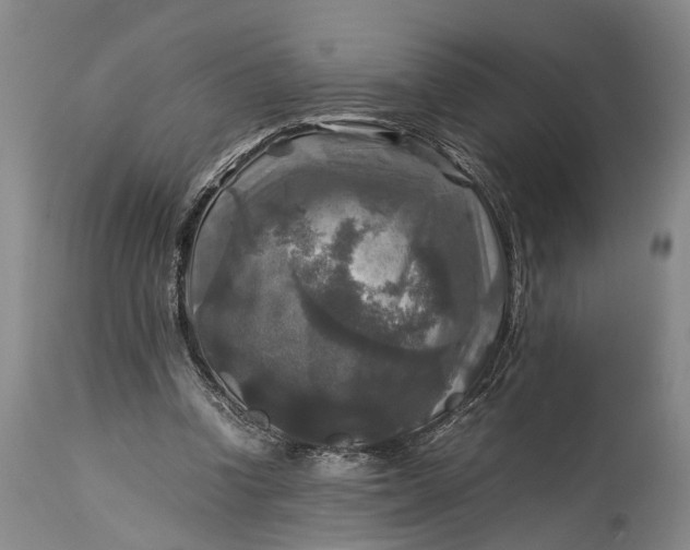 X0000115310346200911161727