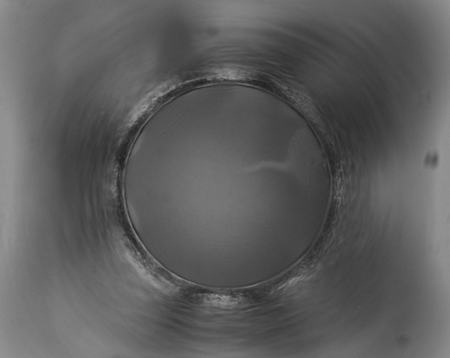 X0000115310347200911161727