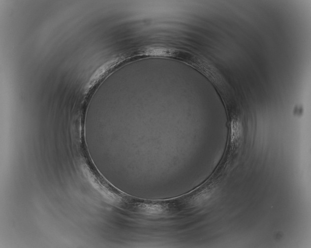 X0000115310349200911161727