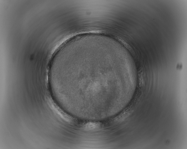 X0000115310350200911161727