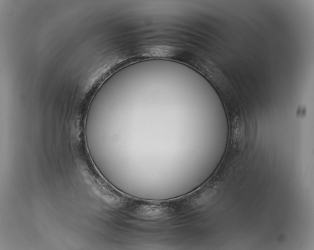 X0000115310351200911161727